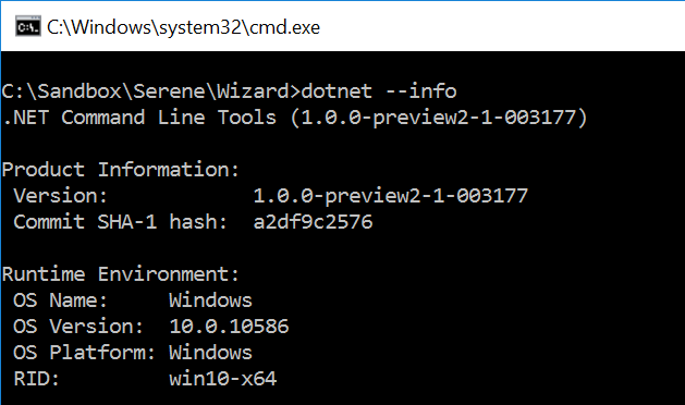 Dotnet Info